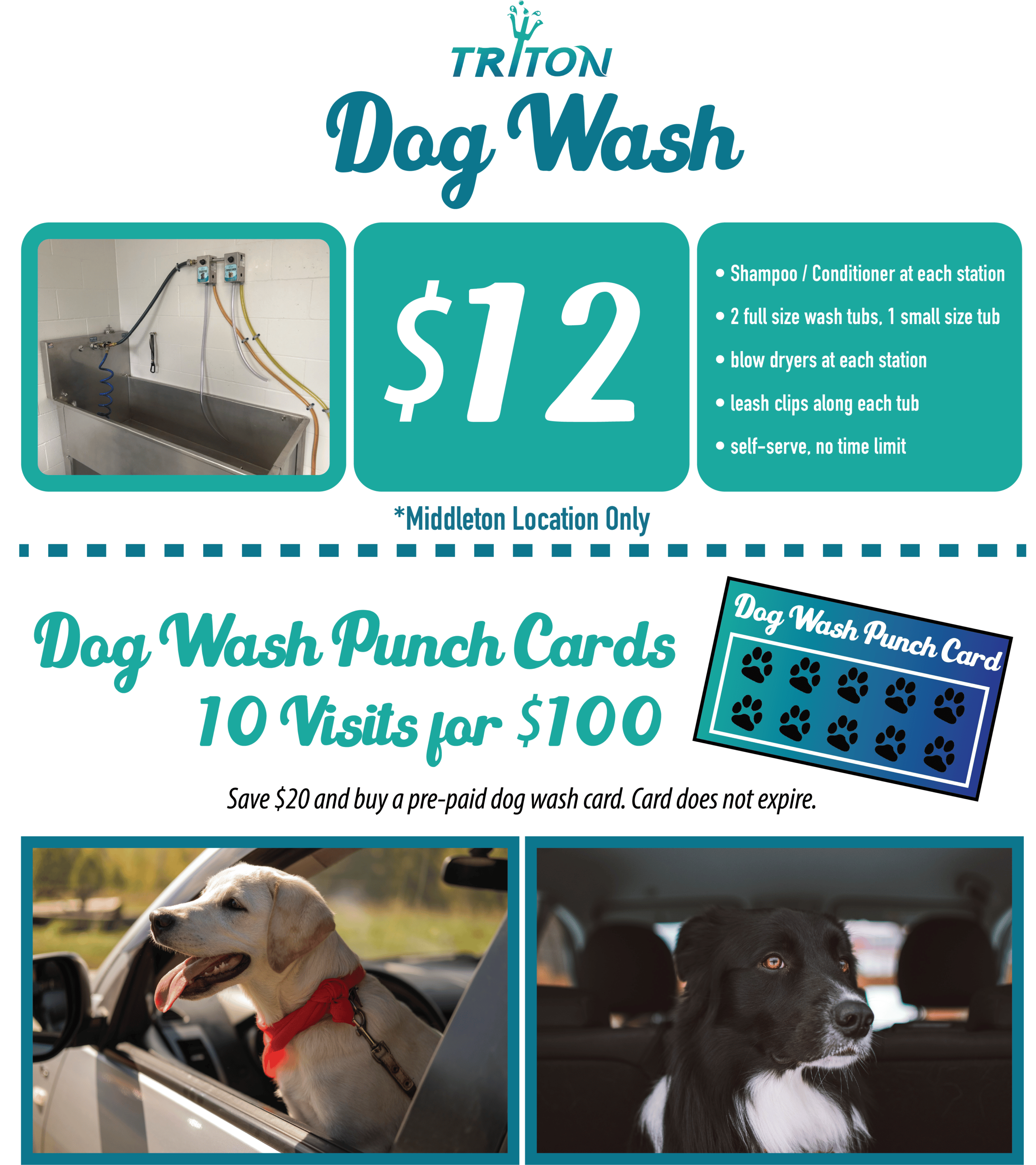 Dog Wash Triton Auto Spa